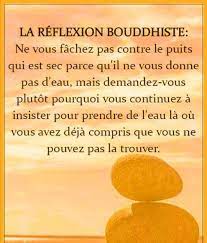 (français) » de célinka, auquel 389 utilisateurs de pinterest sont abonnés. La Reflexion Bouddhiste Belles Citations Mots De Sagesse Citation Jugement