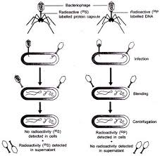 Check spelling or type a new query. Sample Papers For 12th Class Biology Biology Sample Paper 3 Studyadda Com