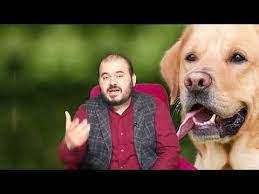 Ruyada Kopek Isirmasi Gormek Nedir Ruyada Kopegin Isirdigini Gormek Ne Anlama Gelir Huseyin Duru Youtube