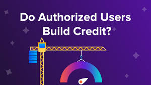 Adding authorized user to credit card. Do Authorized Users Build Credit