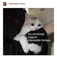24 Funny Memes Emotional Support Factory Memes
