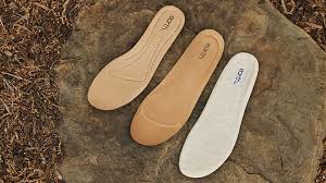 Image result for Earth Brown 2020 Fleet