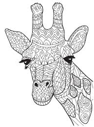 Kleurplaten van wilde dieren, huisdieren, enge dieren en lieve dieren. 130 Ideeen Over Thema Tekenlessen In 2021 Thema Kunst Klaslokaal Elementaire Kunst