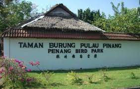 Lot 10050, jalan sungai burung, kampung sungai. Penang Bird Park Penang Hill Ticket Price Timings Address Triphobo