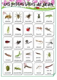 Les Petites Betes Du Jardin Les Petites Betes Jardinons A L Ecole Jardins
