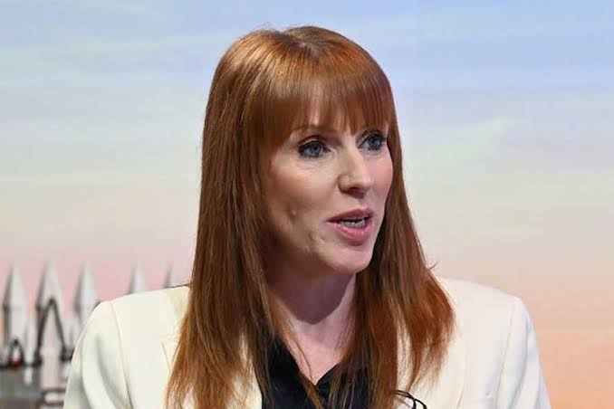 Angela Rayner insists nothing 'off the table' in Andy Burnham's EU talks - The Mirror