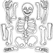 Which of these animals has a skeleton without hard parts? Skeleton Coloring Pages 2 Crafts And Worksheets For Preschool Toddler And Kindergarten