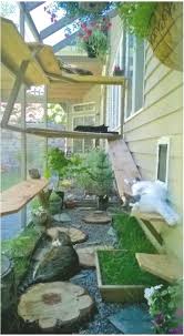 Catio Katzengehegekatzen Die Innenhafen Catiospaces Faulenzen Hinterhofideen Backyardideasplants In 2020 Cat Patio Outdoor Cat House Cat Enclosure