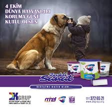 4 Ekim Dunya Hayvanlari Koruma Gunu Hayvan Hayvan Haklari Kimya
