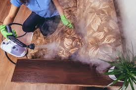 Maybe you would like to learn more about one of these? Pourquoi Et Comment Utiliser Un Nettoyeur Vapeur Hubliss