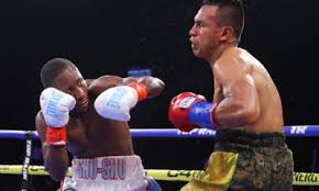 Undefeated Fighter Set to Appear