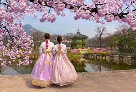 Sangat cocok untuk digunakan sebagai latar belakang foto kamu. Rekomendasi Tempat Wisata Untuk Liburan Musim Semi Di Korea