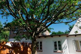 Pension haus my norddeich, wir vermieten preiswert einzelzimmer und doppelzimmer.unsere pension liegt am ende einer sackgasse. Pony Peters Ferienwohnungen An Der Nordsee