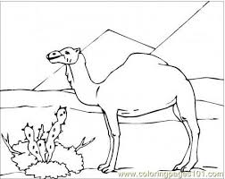 Facebook is showing information to help you better understand the purpose of a page. Pin On History Ancient Egypt