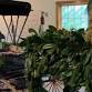 1818 Christmas at the Inn,