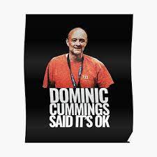 Decorate your laptops, water bottles, helmets, and cars. Dominic Cummings Posters Redbubble