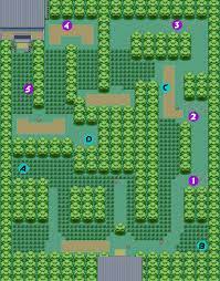 Pokemon Firered And Leafgreen Viridian Forest Strategywiki The Video Game Walkthrough And Strategy Guide Wiki