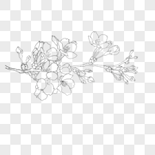 Including transparent png clip art, cartoon, icon, logo, silhouette, watercolors, outlines, etc. Flowers Line Drawing Png Images With Transparent Background Free Download On Lovepik Com