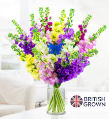 Flowers and chocolate is the 9th episode of the first season of the suite life on deck. Mixed Stocks Next Day Flowers Prestige Flowers Next Day Flowers Flower Arrangements Sweet Scents