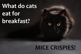 75 Hilarious Family Jokes Perfect For Kids But coming up with funny kids' jokes on the spot is tough.