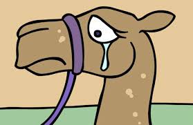 The story of the weeping camel is a blend of. Primary Uk The Story Of The Crying Camel