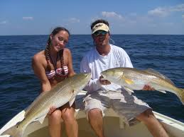 Maybe you would like to learn more about one of these? St Pete Beach Redfish Action Capt Billy Miller