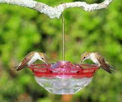 Nectar left in feeders for a. Aspects 433 Hummblossom 4 Oz Hummingbird Feeder Rose Farbe Made In Usa Dm Ebay