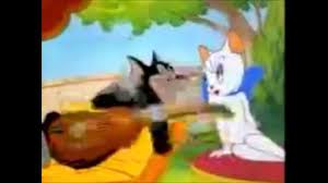 Sarki Soyleyen Asik Kedi 2 Cikti Kedi