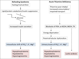 Image result for Refeeding Syndrome