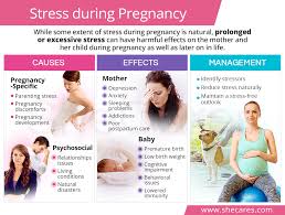 We usually think of stressors as being negative, such as an exhausting work schedule or a rocky relationship. Stress During Pregnancy Shecares