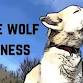 White Wolf Wellness - Three Years Together event in Belfast