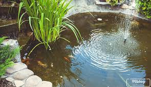 Keberadaan kolam dan memelihara ikan sebagai hobi nantinya bisa menyenangkan pemilik dan melupakan berbagai masalah yang ada sebelumnya untuk mengurangi tingkat stres. 15 Desain Kolam Ikan Minimalis Dengan Taman Yang Indah Adem Banget