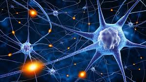 In this article, we'll go over causes, types of ms, symptoms, medications, and more. Multiple Sklerose Ms Themenwelt Handicapx De