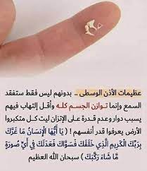 pin by essam sayed mohamed on healthy islam healthy