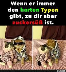 Lustiges spruchbild übers müde sein mit katze zitate. Besten Bilder Videos Und Spruche Und Es Kommen Taglich Neue Lustige Facebook Bilder Auf Debeste De Hier Werden Katzen Witze Lustige Katzenbilder Katze Lustig