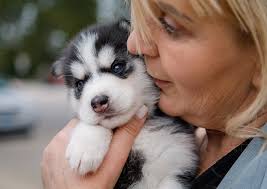 Pets receive blessings at St. Francis Borgia
