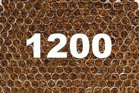 As Of Today One Of My Coaching Clients Is Now 60 Days Smoke Free It Means That She Has Made The Conscious Decision 1200 Ti Mott Life Is Short Let It Be