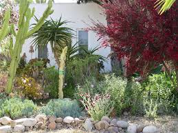 You can apply this method on any section of your yard, just use a. A Guide To Xeriscape Fundamentals Landscaping Network