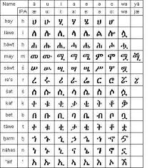 أسرة اللغات السامية الحامية شبكة البراري
