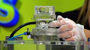 Baloto lotería de boyacá lotería del cauca lotería de cundinamarca super astro lotería de medellín lotería del valle lotería del tolima lotería del risaralda lotería de manizales lotería del quindío. J7smst49kt9k5m