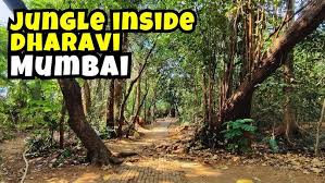 Explore Lion & Tiger Safari at Sanjay ...