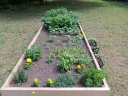Lasagna gardening is like a poor man's raised bed, but without the neat (and expensive) wood timbers to contain the borders. How To Make A Raised Bed Lasagna Garden Dengarden