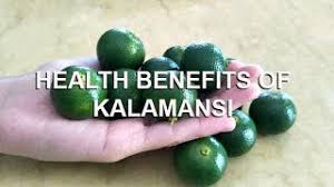 Khasiat limau kasturi ile bağlantı kurmak için şimdi facebook'a katıl. Health Benefits Of Calamansi Limau Kasturi Youtube