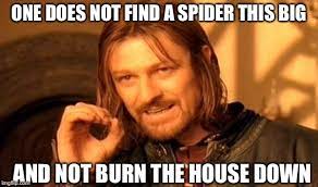 A man who only wanted to get rid of unwanted pests has managed to burn down his home with a blowtorch. Couple Shares Why They Can T Leave Their Home And Everyone Is Telling Them To Burn Their House Bored Panda