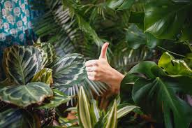 Maybe you would like to learn more about one of these? Vente En Ligne De Meuble Ameliorez Votre Ca En Suivant Ces 5 Conseils
