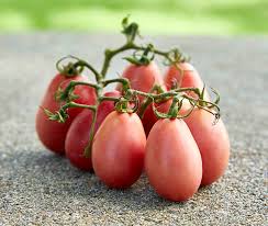 Photos of kinds of tomatoes with definition 1. The Best Heirloom Tomato Varieties To Grow In Your Garden Garden Gate