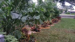 Check out reviews & photos of clearwater tours with increased safety measures & flexible booking. Welcome To Landscape By Design Landscape By Design Landscaping Company St Petersburg Clearwater Tampa Bay Landscape By Design Landscaping Company St Petersburg Clearwater Tampa Bay