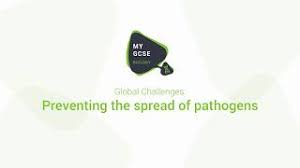 Different types of pathogens include bacteria, fungi, and worms. The Spread Of Pathogens Worksheet Answers B1 25 Pathogen Spread Transmission Infections
