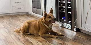 Cork is a green flooring choice good for the environment and the health of the occupants, pets included. Flooring Options For Pet Owners