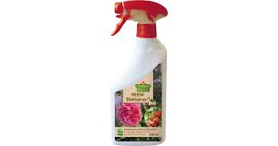 In this modern day and age, there are a whole host of household appliances and there are new ones being invented and. Florissa Neem Leaf Spray Af 500 Ml Bloomling International
